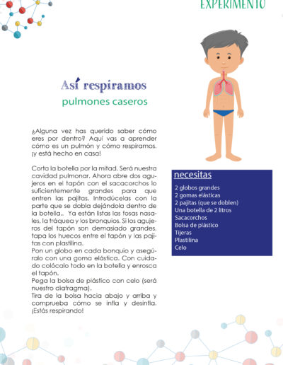 Cuaderno del Científico del Instituto Aragonés de Ciencias de la Salud (Así respiramos)