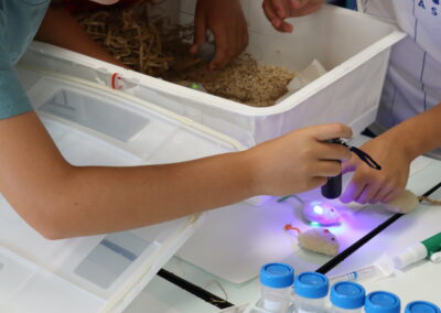 Fotos durante el taller de InvestIACS ¡Aquí hacemos ciencia! el 13 de junio en Colegio marianistas de Zaragoza