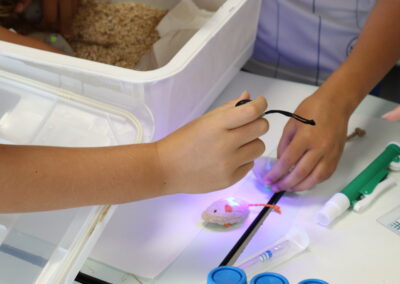 Fotos durante el taller de InvestIACS ¡Aquí hacemos ciencia! el 13 de junio en Colegio marianistas de Zaragoza