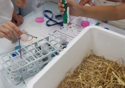 Fotos durante el taller de InvestIACS ¡Aquí hacemos ciencia! el 13 de junio en Colegio marianistas de Zaragoza