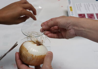 Fotos durante el taller de InvestIACS ¡Aquí hacemos ciencia! el 13 de junio en Colegio marianistas de Zaragoza