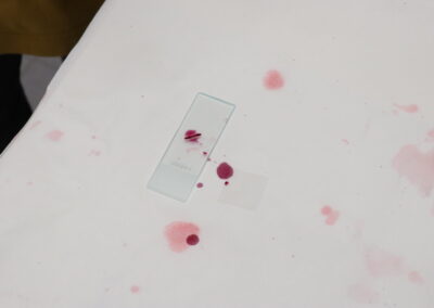 Fotos durante el taller de InvestIACS ¡Aquí hacemos ciencia! el 13 de junio en Colegio marianistas de Zaragoza