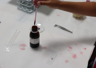 Fotos durante el taller de InvestIACS ¡Aquí hacemos ciencia! el 13 de junio en Colegio marianistas de Zaragoza